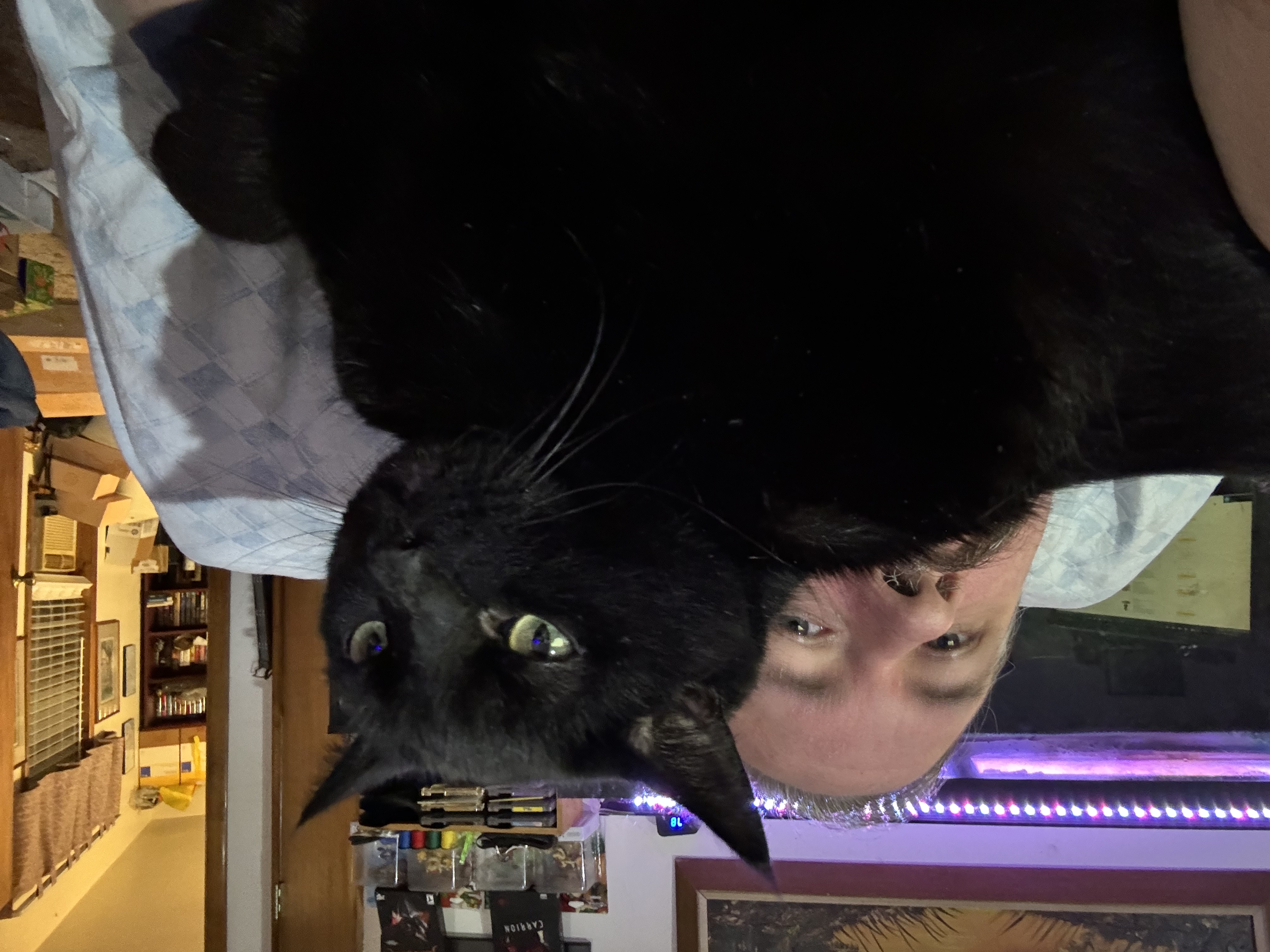 Pet Profiles
