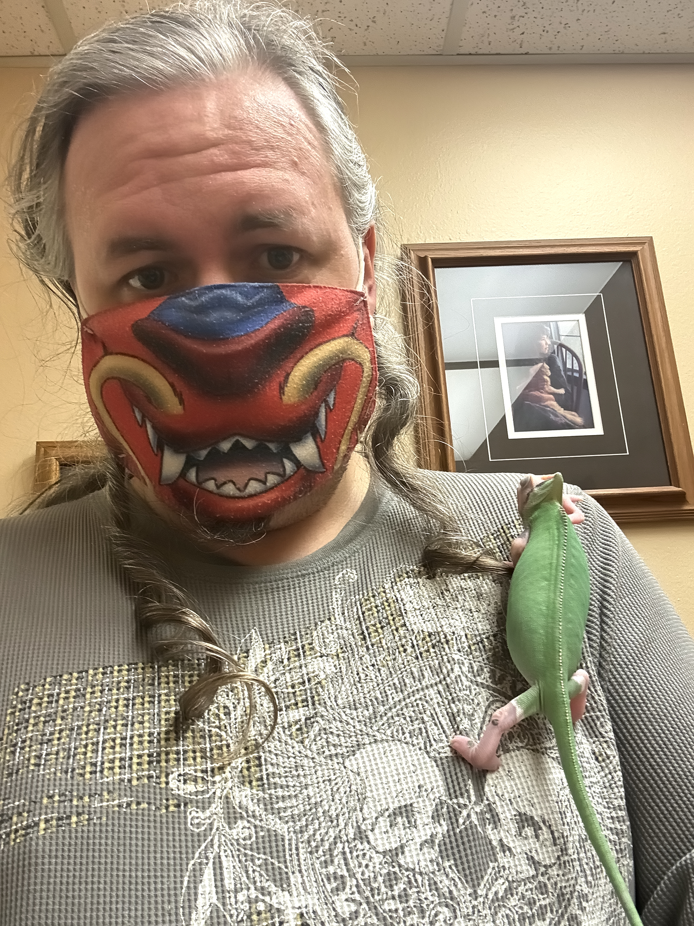 Colombina climbing my front, just exploring while we sit in the vet exam room.