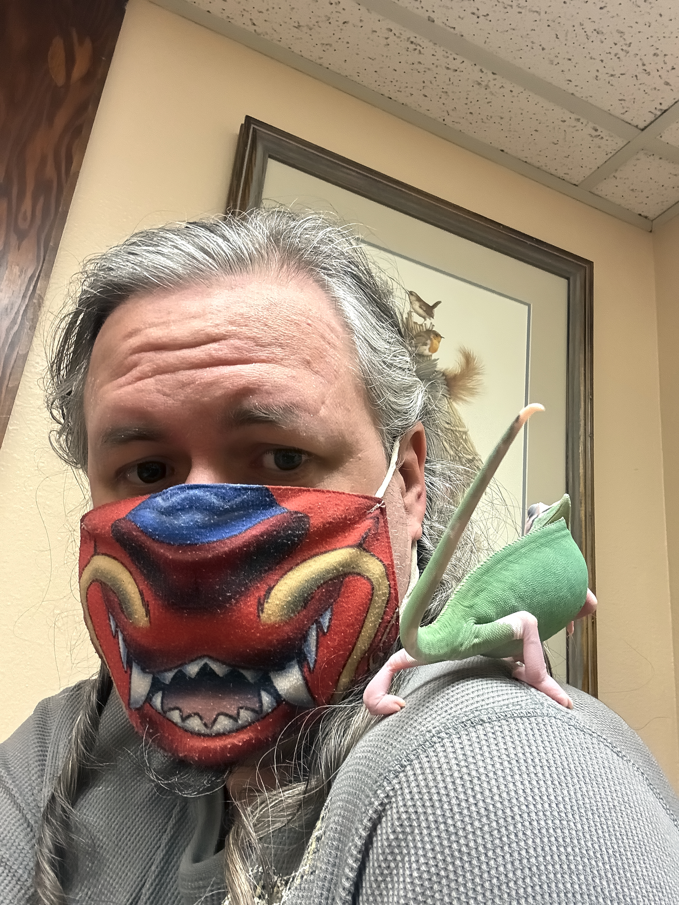 Colombina continuing to climb around my shoulders while we wait in the vet exam room.